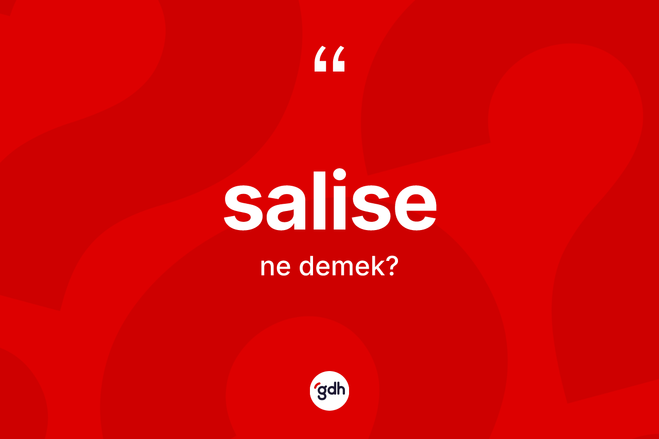 Salise kelimesinin anlamı nedir? Salise kelimesinin kaç farklı anlamı var?