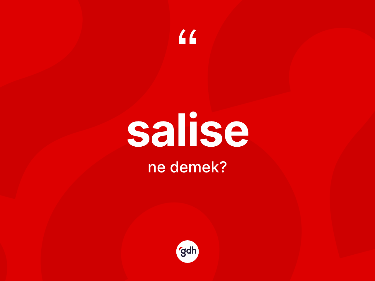 Salise kelimesinin anlamı nedir? Salise kelimesinin kaç farklı anlamı var?