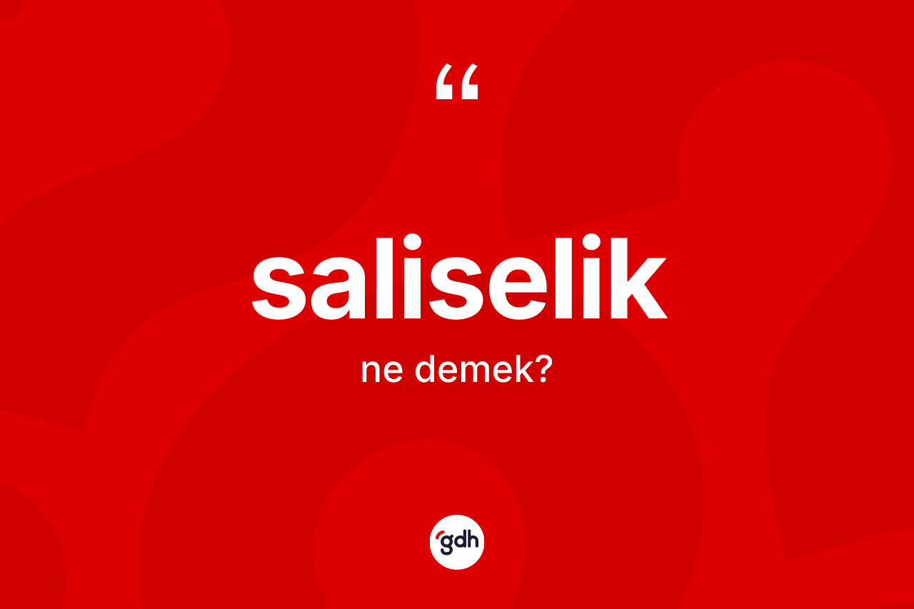 Saliselik nedir? Saliseliğin kısaca tanımı nedir?