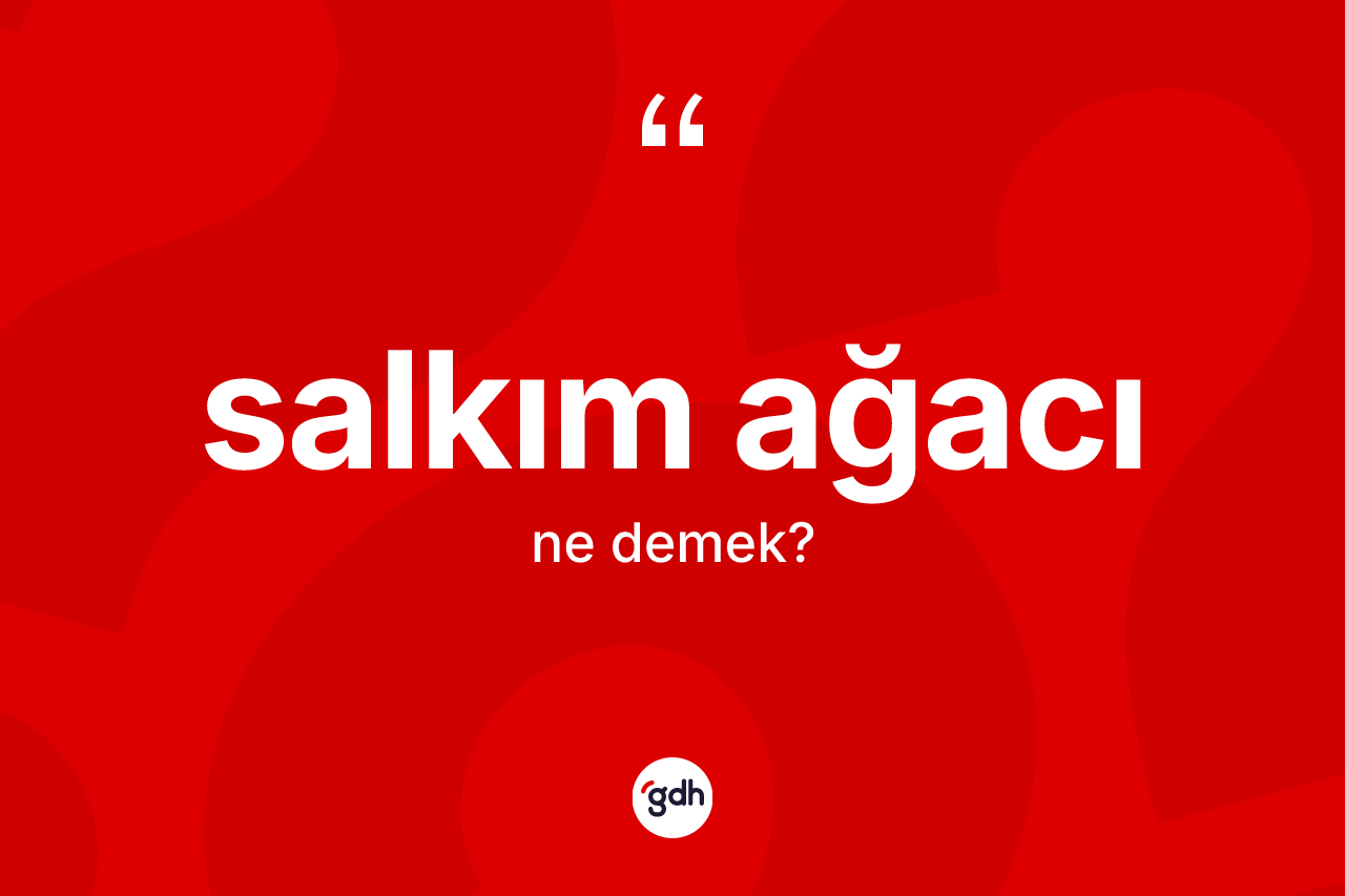 Salkım ağacı kelimesi nedir? Salkım ağacının halk arasındaki kullanımı nasıldır?