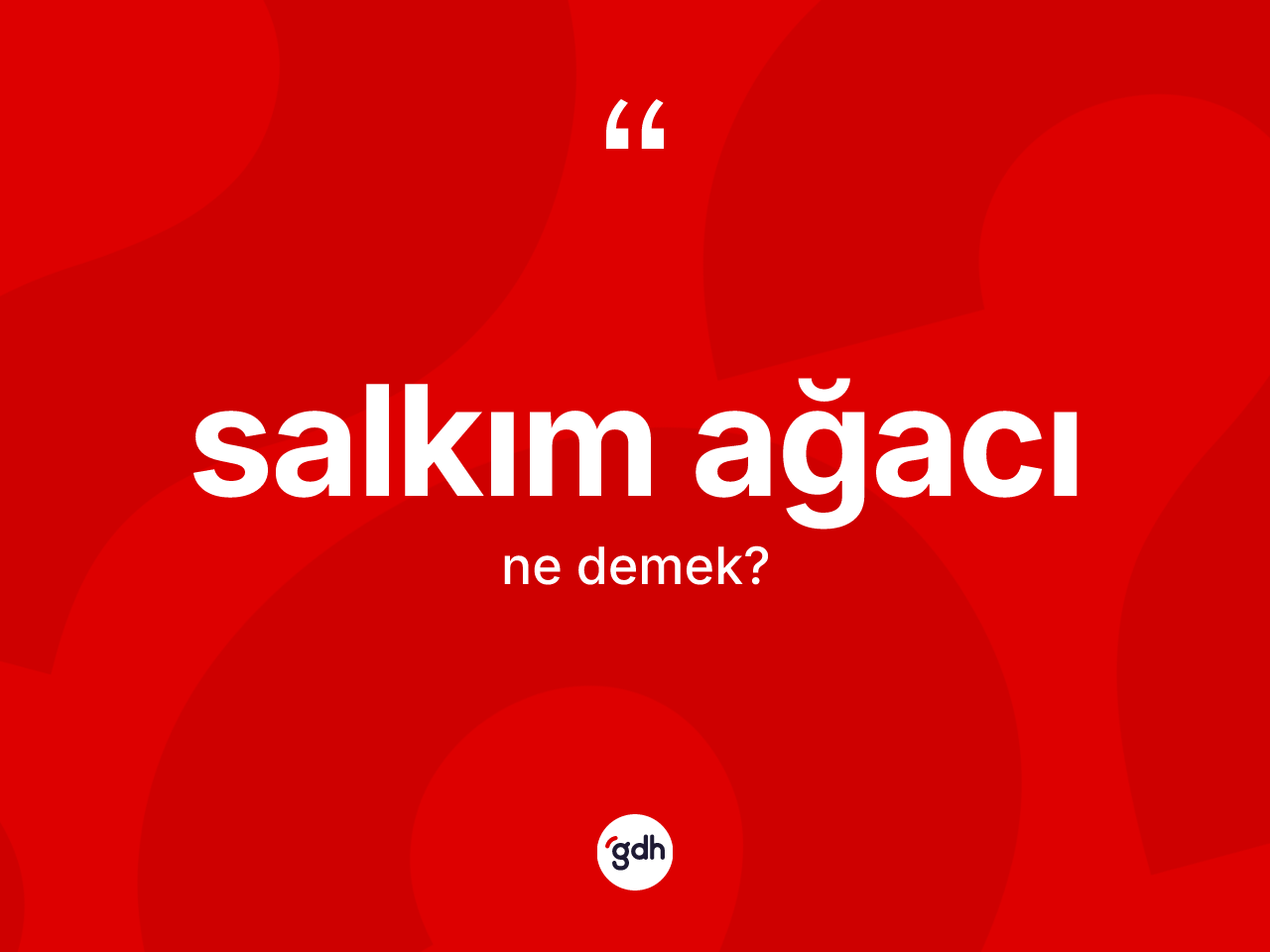 Salkım ağacı kelimesi nedir? Salkım ağacının halk arasındaki kullanımı nasıldır?