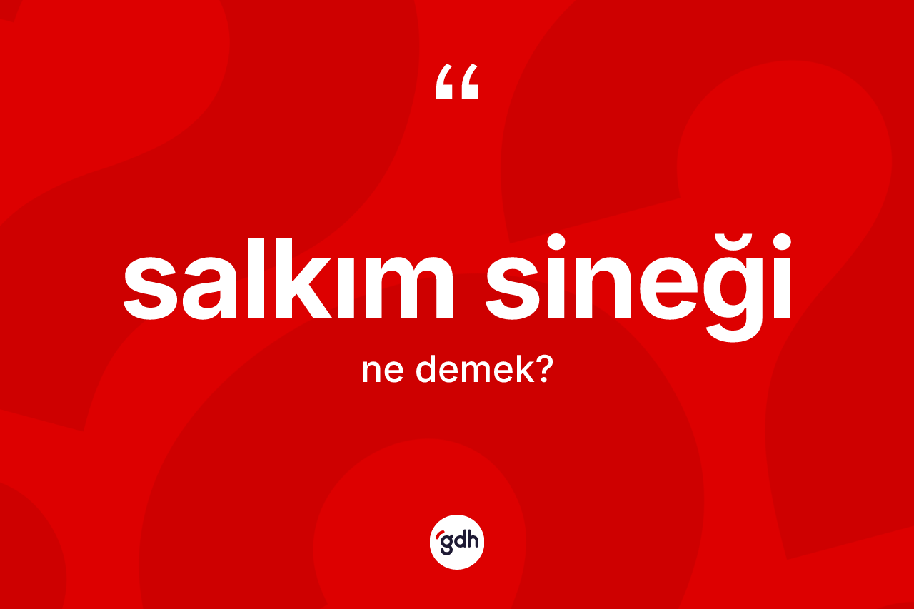 Salkım sineği ne anlama gelir? Salkım sineğinin kısaca tanımı nedir?