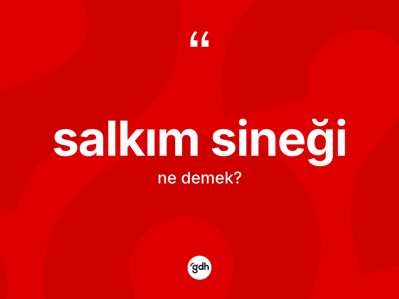 Salkım sineği ne anlama gelir? Salkım sineğinin kısaca tanımı nedir?
