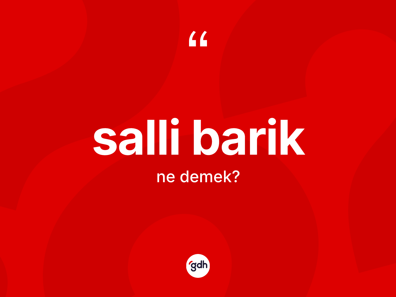 Salli barik kelimesinin tanımı nedir? Salli bariğin halk arasındaki kullanımı nasıldır?