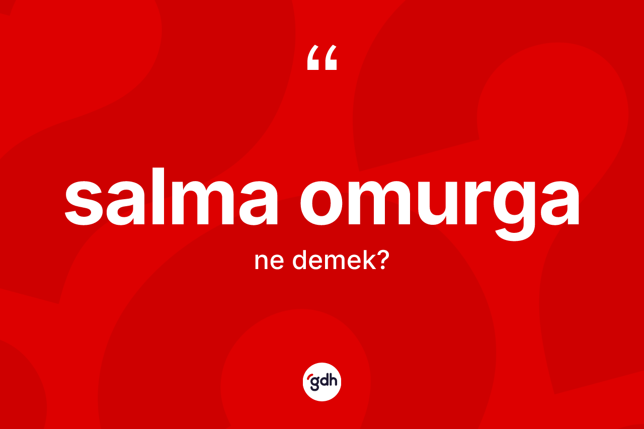 Salma omurga kelimesinin tanımı nedir? Salma omurga kelimesinin kaç farklı anlamı var?