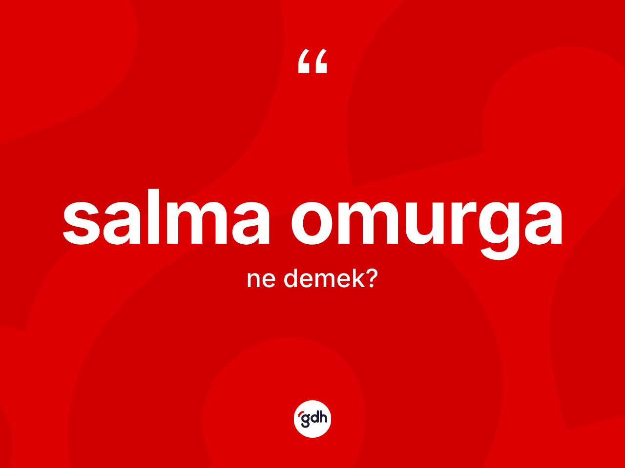 Salma omurga kelimesinin tanımı nedir? Salma omurga kelimesinin kaç farklı anlamı var?