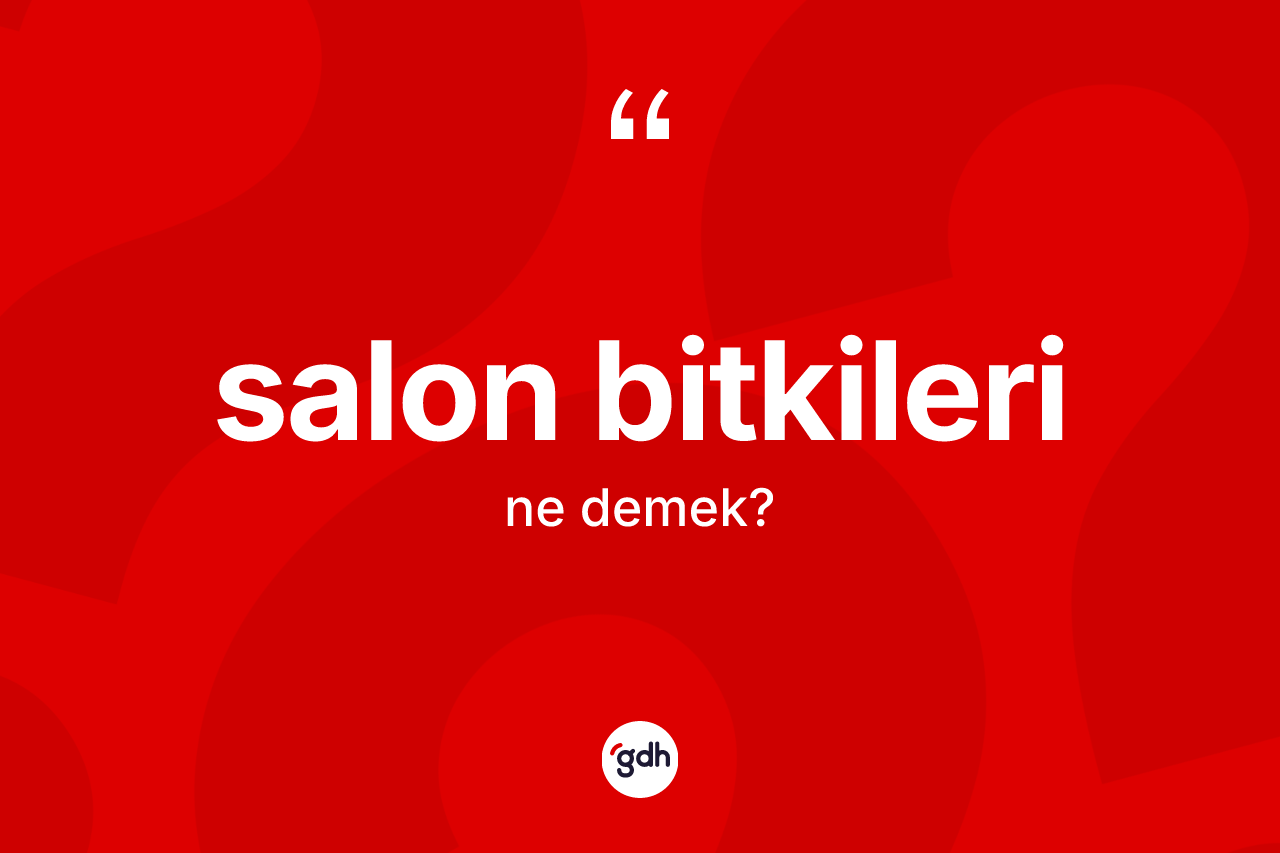 Salon bitkileri ne demek? Salon bitkilerinin TDK'ya göre anlamı nedir?