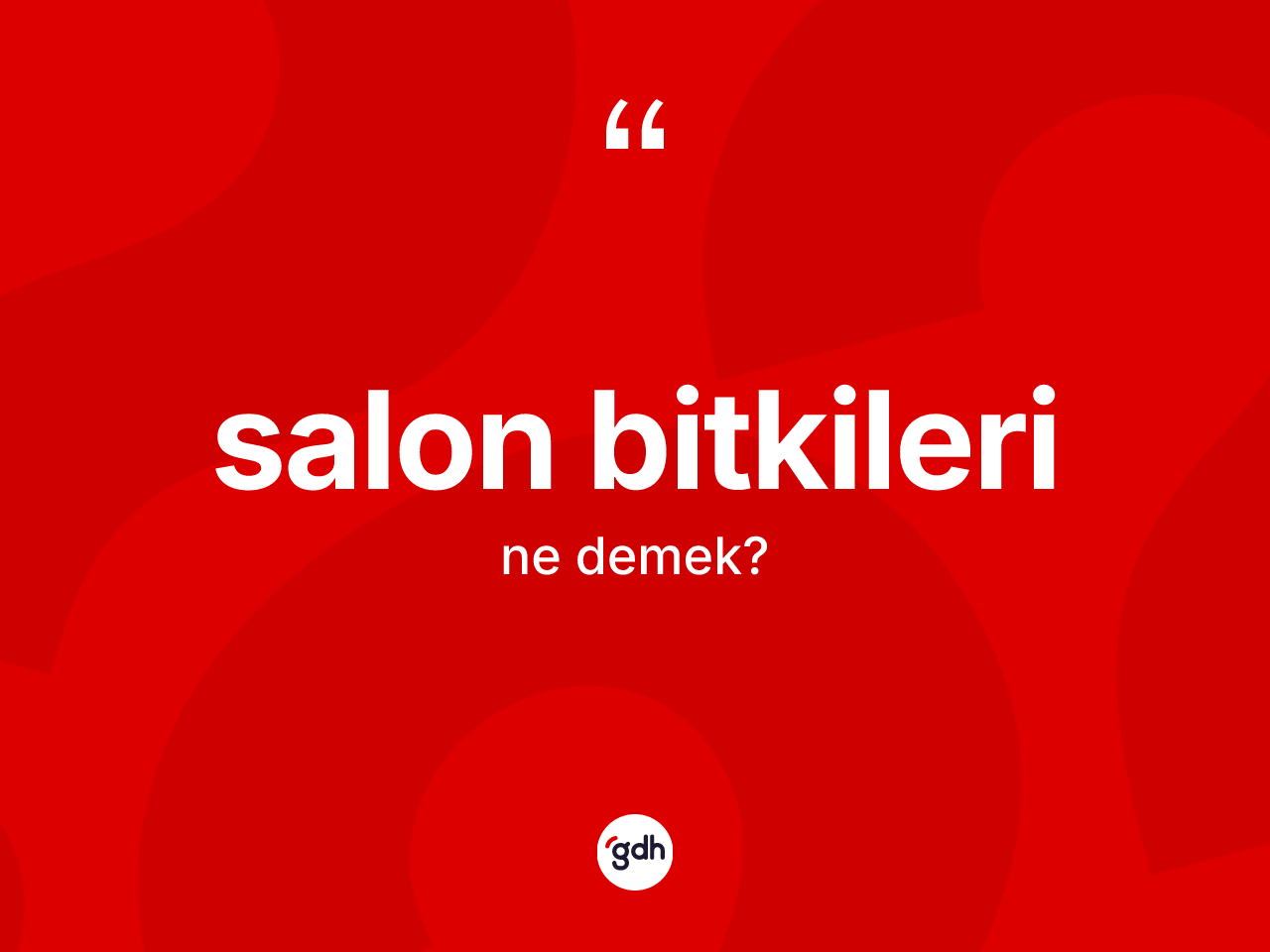 Salon bitkileri ne demek? Salon bitkilerinin TDK'ya göre anlamı nedir?