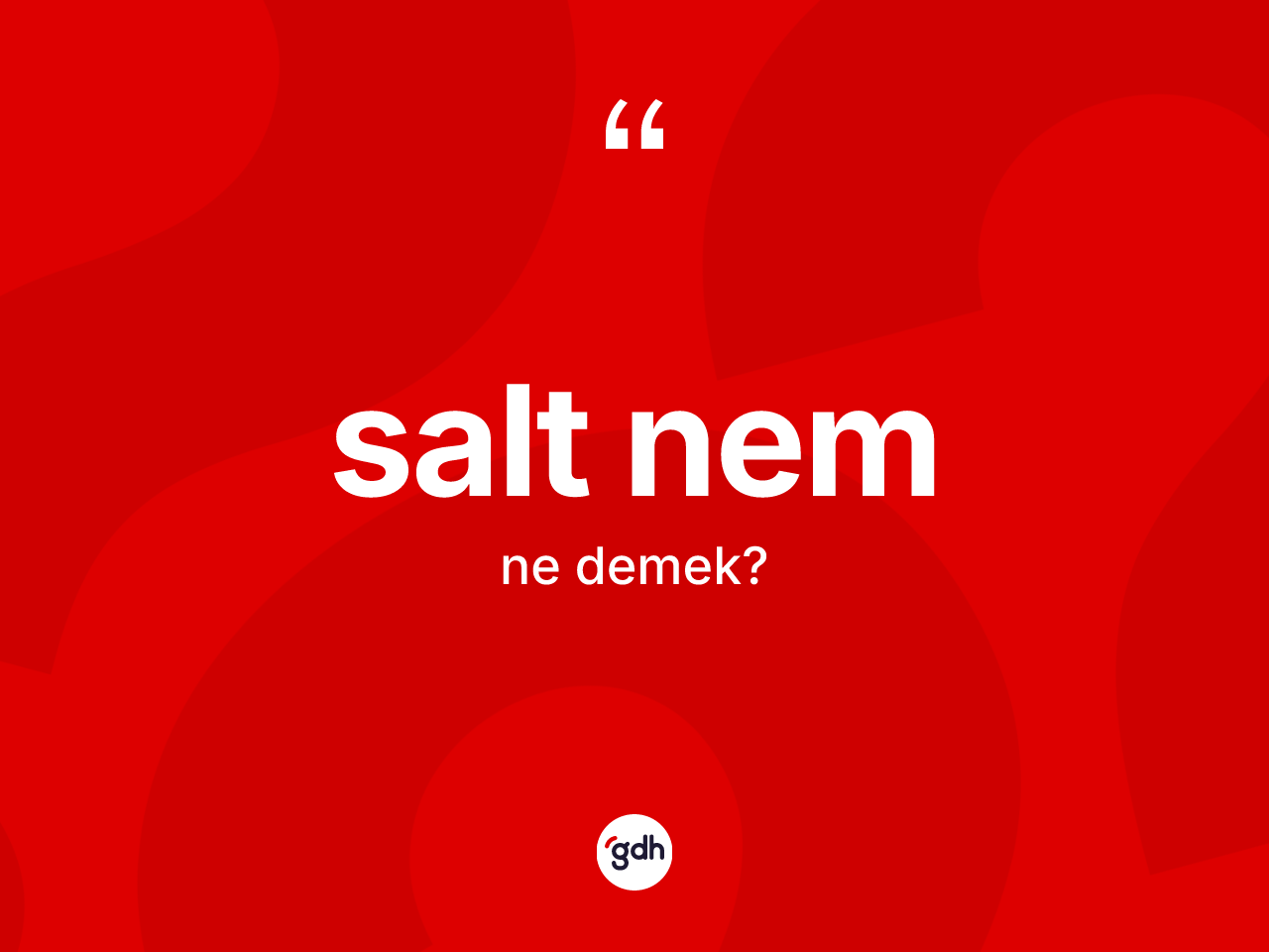 Salt nem kelimesi ne demek? Salt nemin halk arasındaki kullanımı nasıldır?