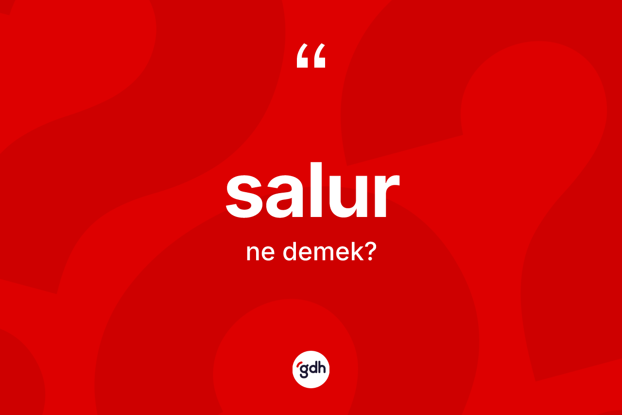 Salur ne anlama gelir? Salur'un kısaca tanımı nedir?
