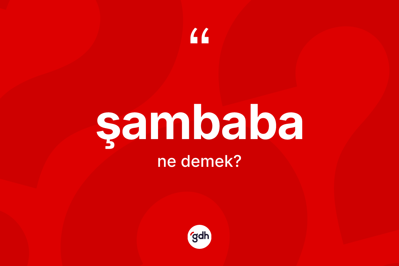 Şambaba kelimesi ne anlama gelir? Şambabanın TDK'ya göre anlamı nedir?