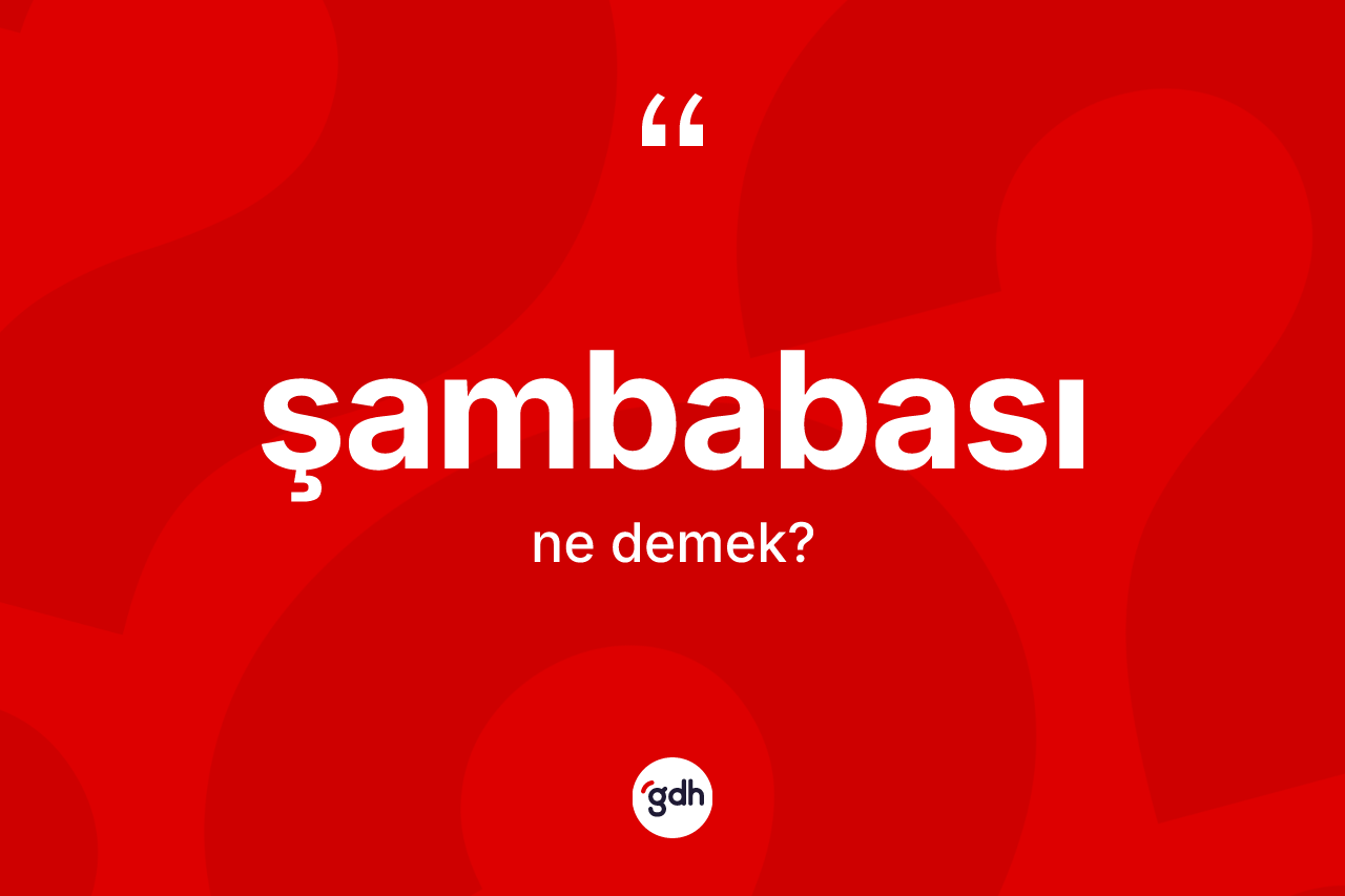 Şambabası kelimesi ne demek? Şambabasının halk arasındaki kullanımı nasıldır?