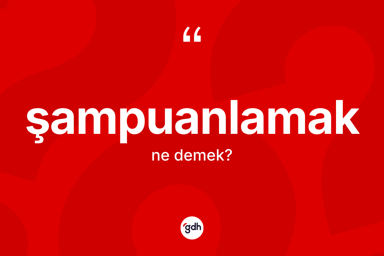 Şampuanlamak kelimesinin sözlükteki tanımı nedir? Şampuanlamağın TDK'ya göre anlamı nedir?