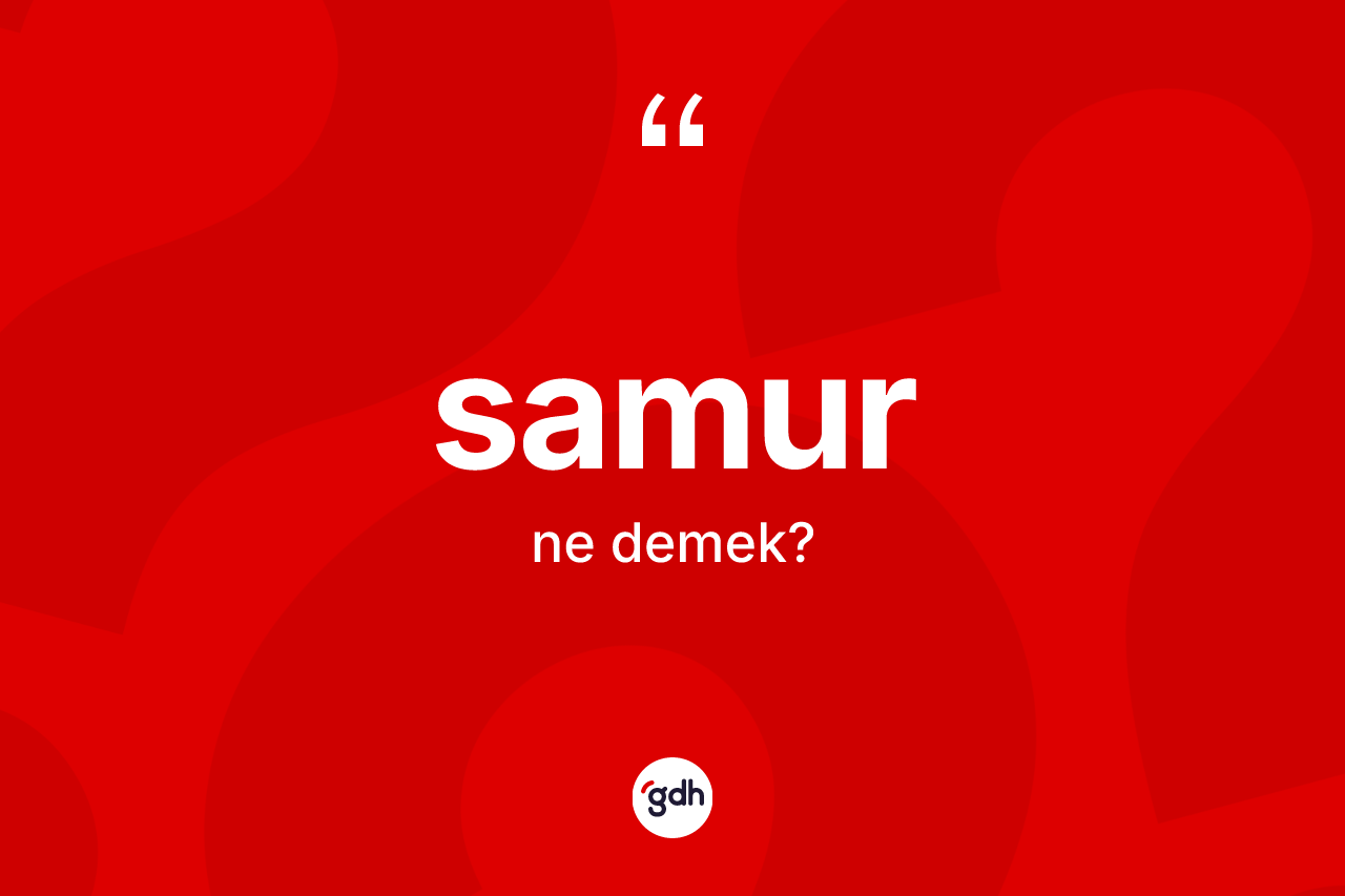 Samur kelimesi ne demek? Samurun TDK'ya göre anlamı nedir?