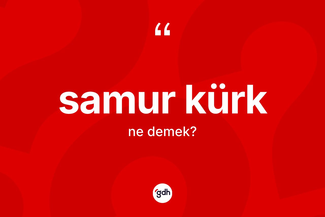 Samur kürk kelimesinin tanımı nedir? Samur kürğün kısaca tanımı nedir?