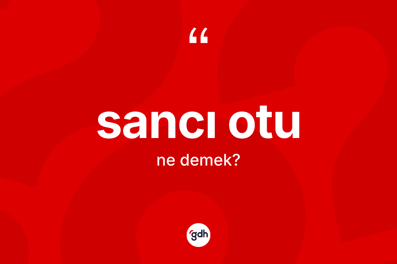 Sancı otu kelimesinin tanımı nedir? Sancı otunun TDK'ya göre anlamı nedir?