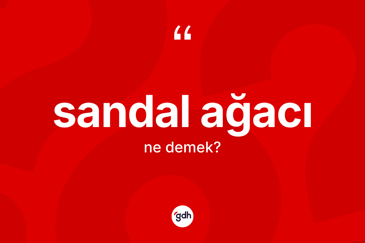 Sandal ağacı ne anlama gelir? Sandal ağacı kelimesinin TDK'ya göre açıklaması nedir?