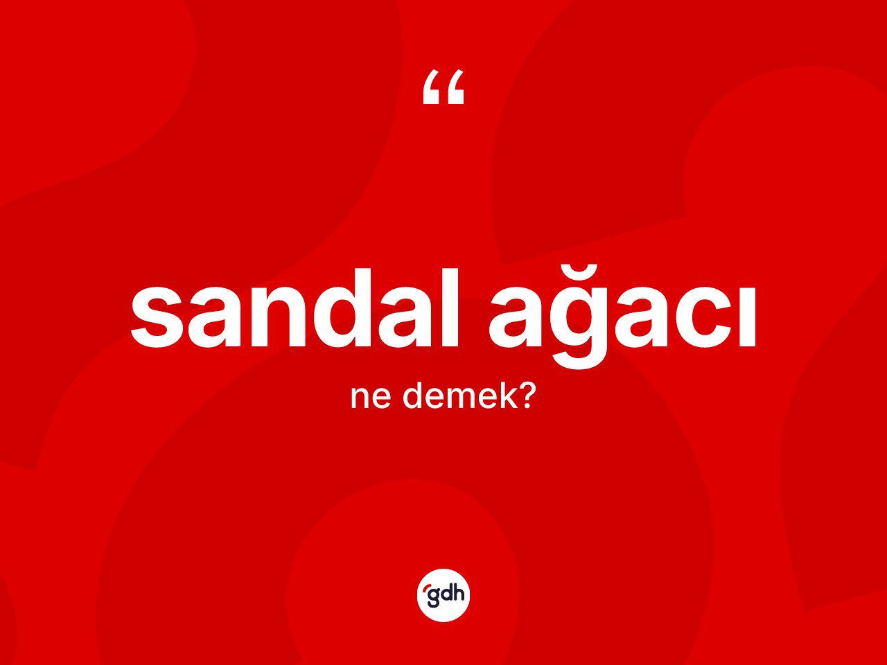 Sandal ağacı ne anlama gelir? Sandal ağacı kelimesinin TDK'ya göre açıklaması nedir?