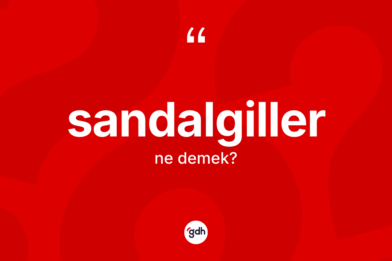 Sandalgiller kelimesi ne demek? Sandalgillerin TDK'ya göre anlamı nedir?