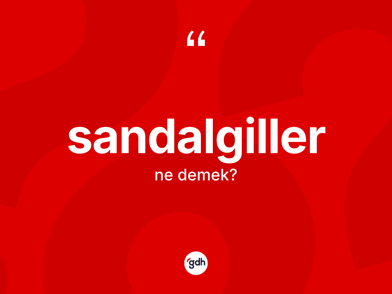 Sandalgiller kelimesi ne demek? Sandalgillerin TDK'ya göre anlamı nedir?