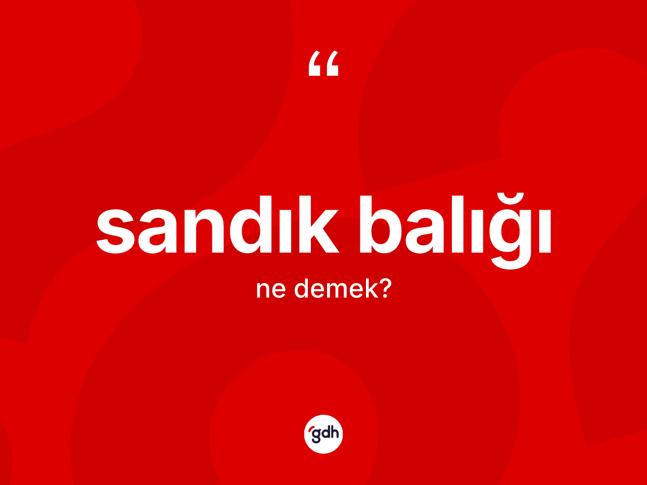 Sandık balığı nedir? Sandık balığı kelimesinin özellikleri nelerdir?