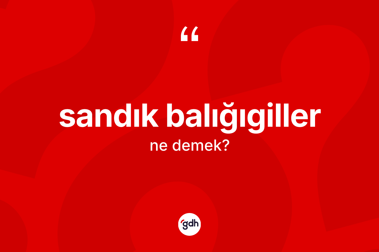 Sandık balığıgiller kelimesinin tanımı nedir? Sandık balığıgillerin TDK'ya göre anlamı nedir?