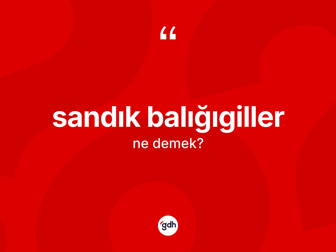 Sandık balığıgiller kelimesinin tanımı nedir? Sandık balığıgillerin TDK'ya göre anlamı nedir?