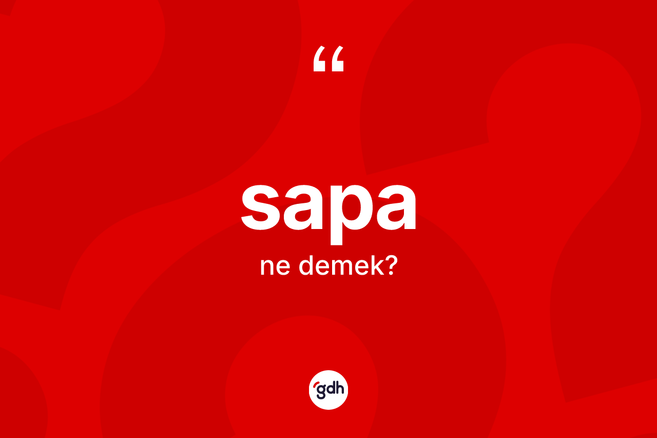 Sapa kelimesinin tanımı nedir? Sapa kelimesinin kaç farklı anlamı var?