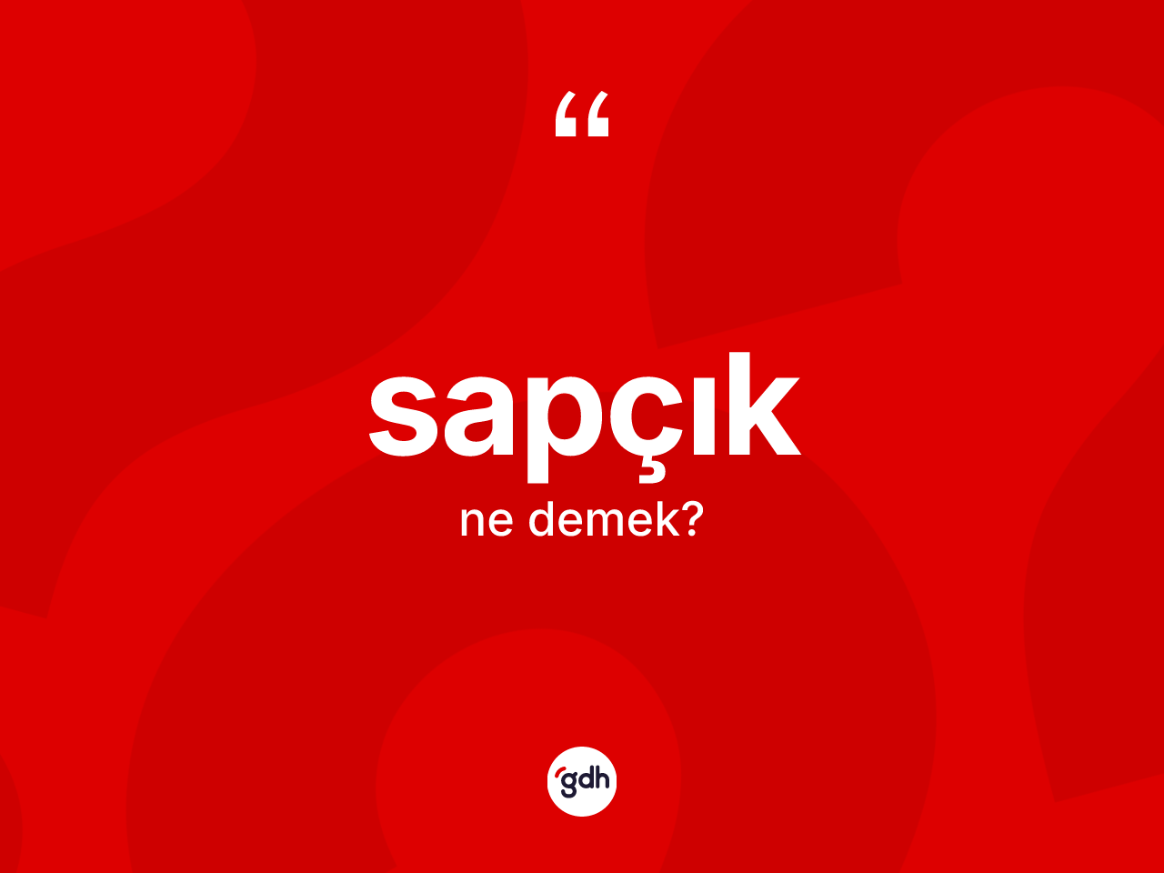 Sapçık ne demek? Sapçığın TDK'ya göre anlamı nedir?