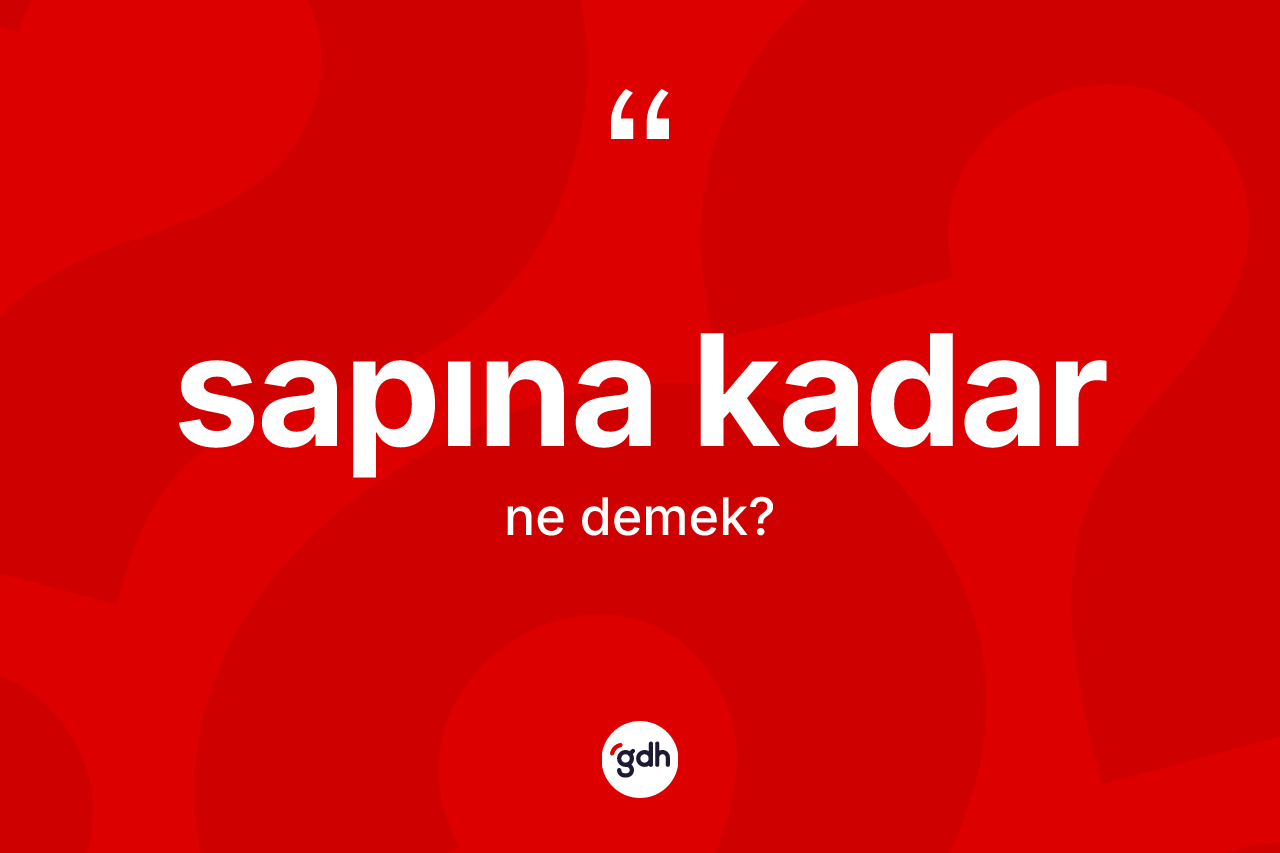 Sapına kadar deyimi ne demek? Sapına kadar ifadesi nasıl kullanılır?