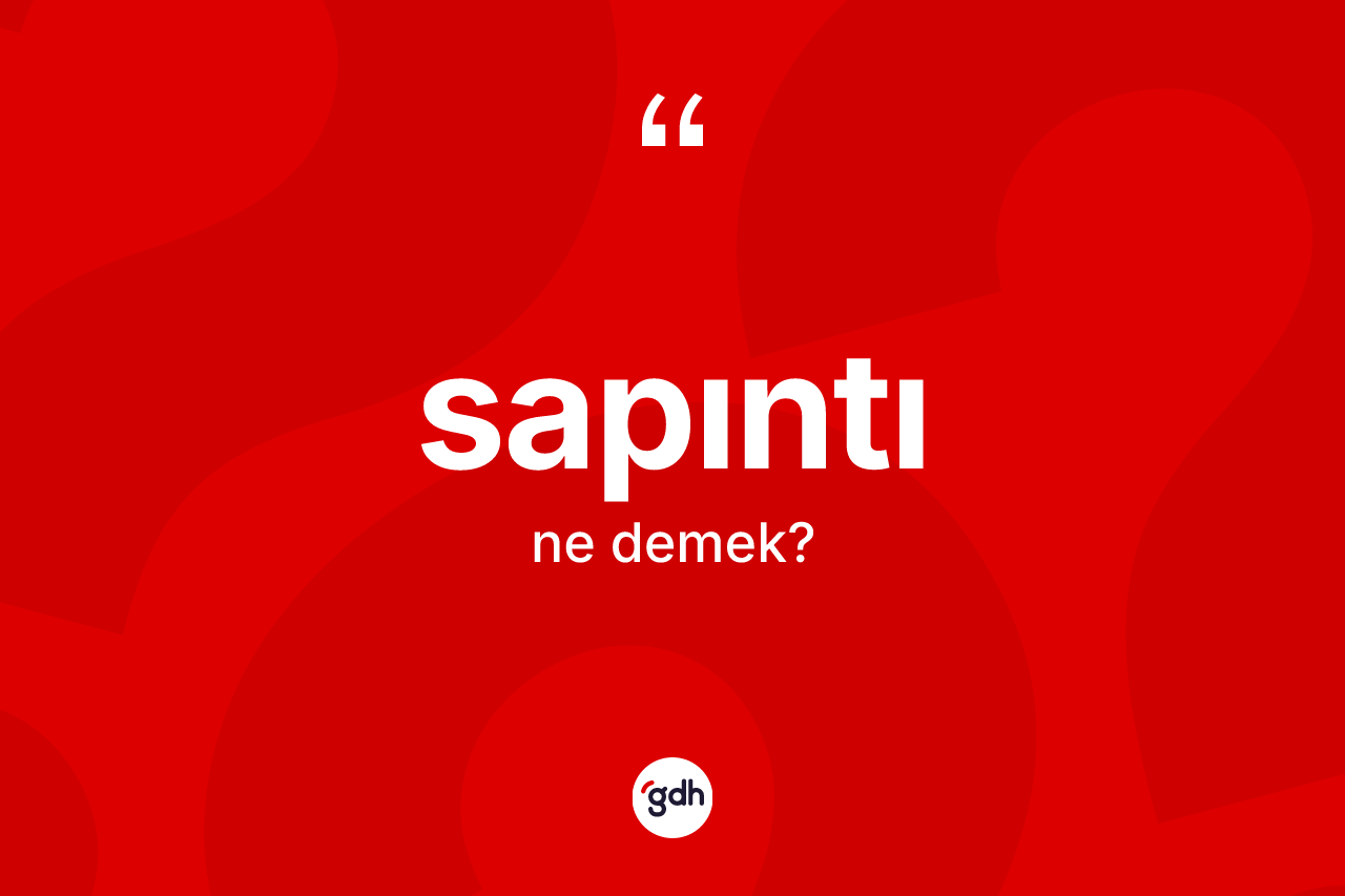 Sapıntı kelimesi nedir? Sapıntının TDK'ya göre anlamı nedir?