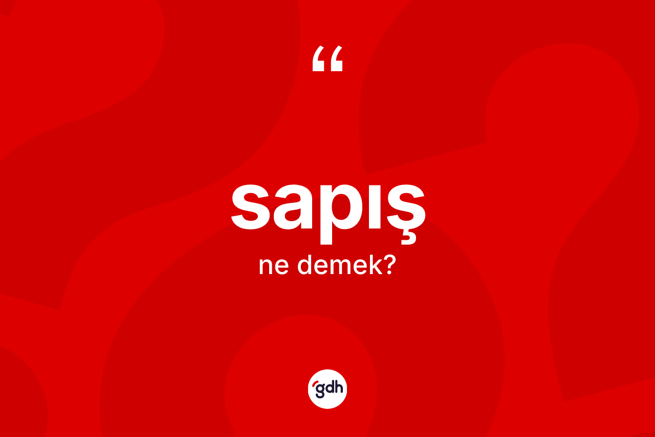 Sapış kelimesi nedir? Sapış kelimesinin özellikleri nelerdir?