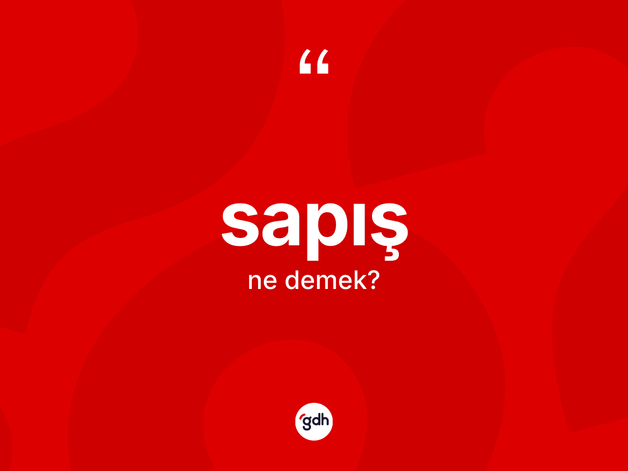 Sapış kelimesi nedir? Sapış kelimesinin özellikleri nelerdir?