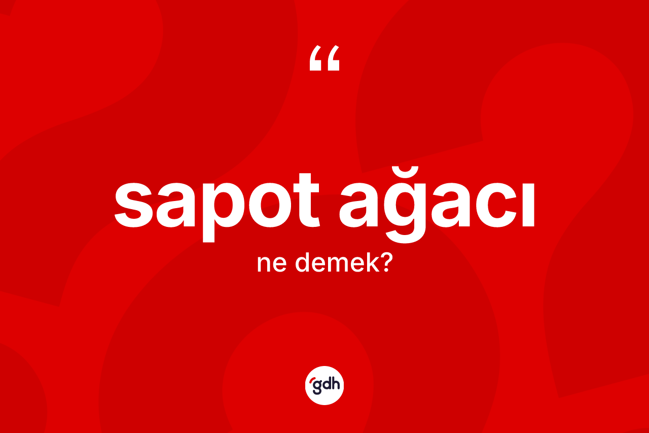 Sapot ağacı kelimesi nedir? Sapot ağacının TDK'ya göre anlamı nedir?