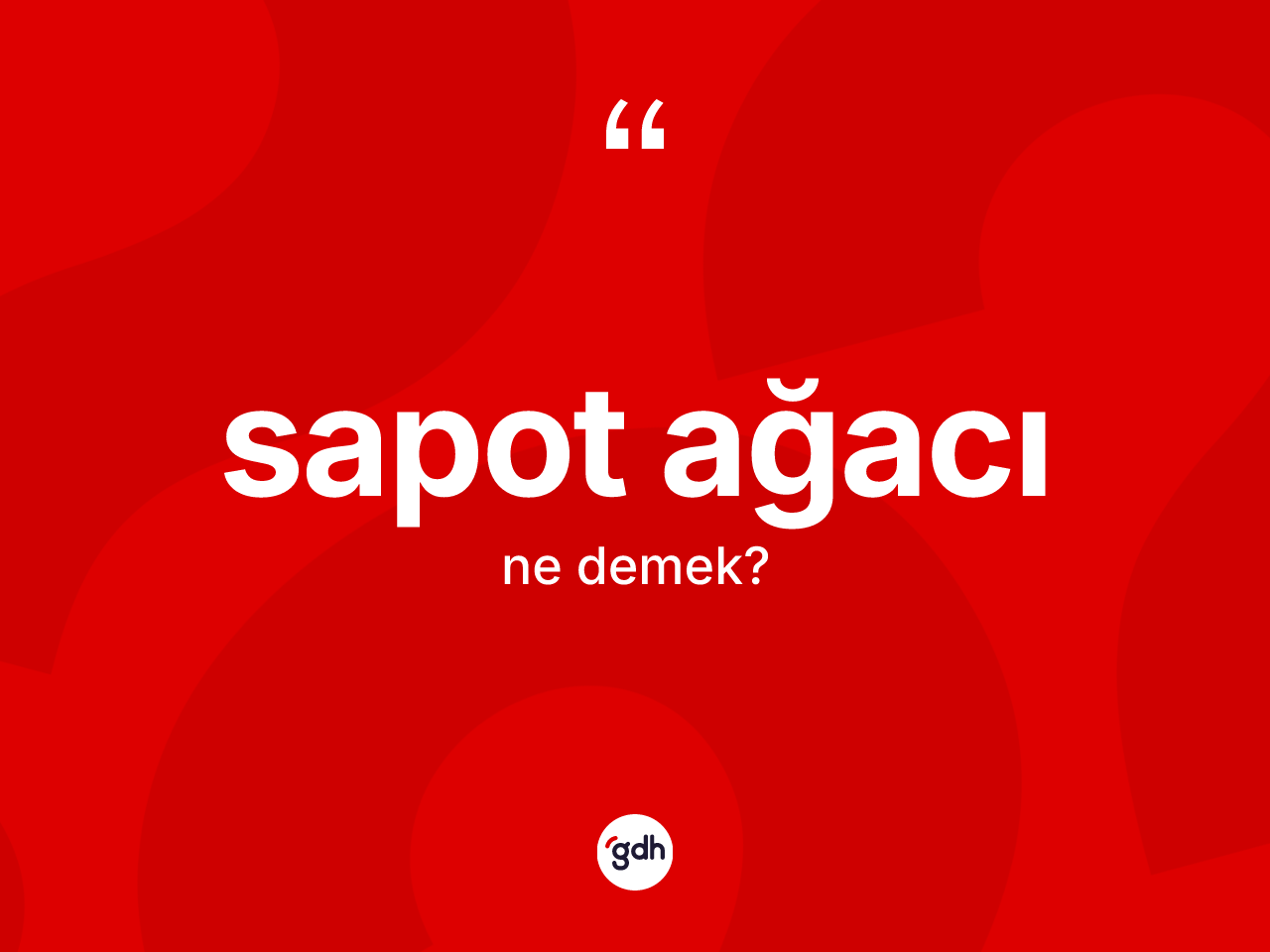Sapot ağacı kelimesi nedir? Sapot ağacının TDK'ya göre anlamı nedir?