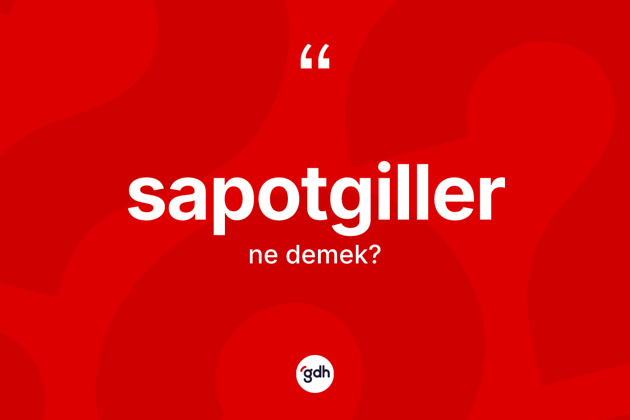 Sapotgiller kelimesinin tanımı nedir? Sapotgiller kelimesinin TDK anlamı nedir?
