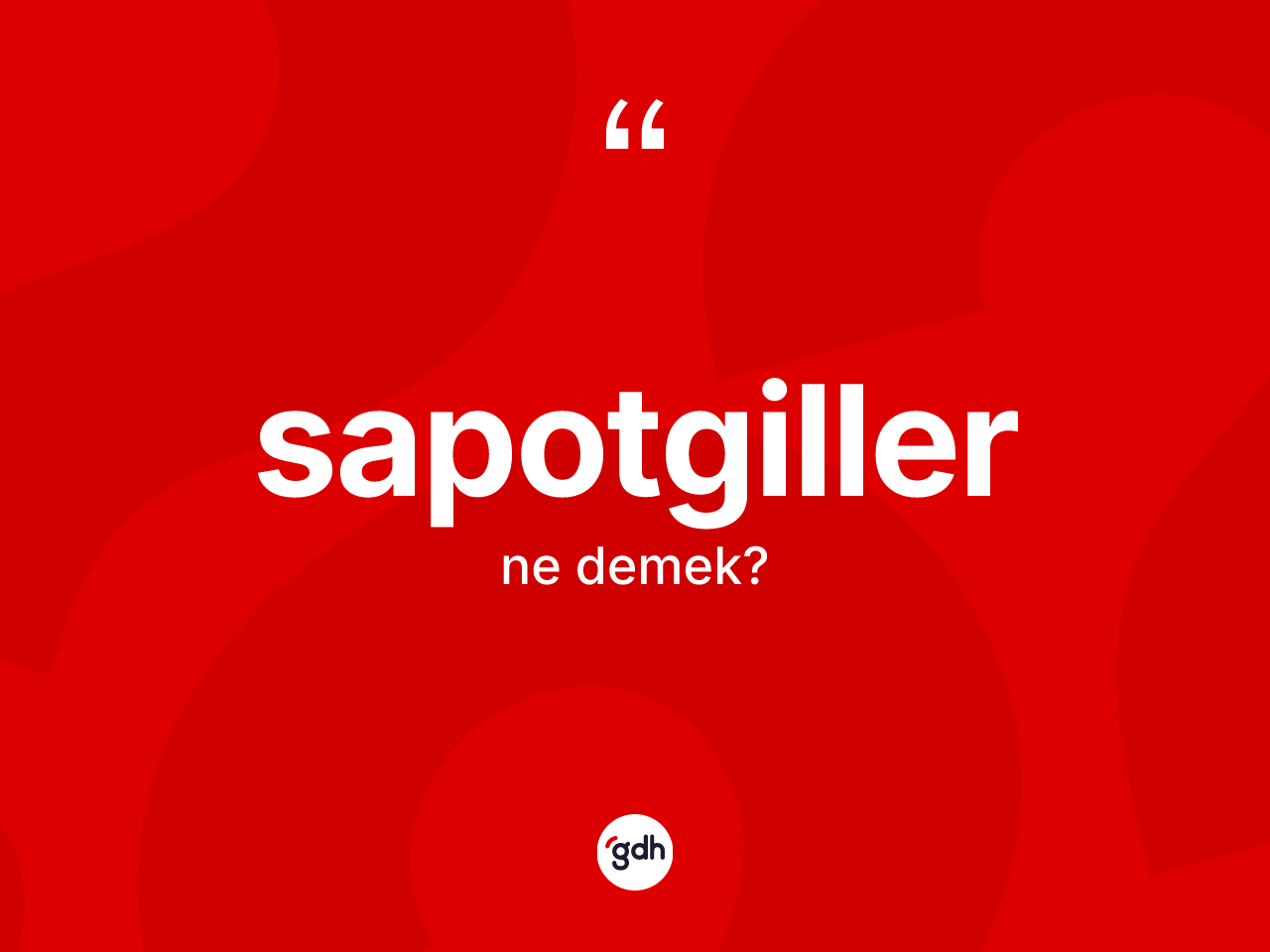 Sapotgiller kelimesinin tanımı nedir? Sapotgiller kelimesinin TDK anlamı nedir?