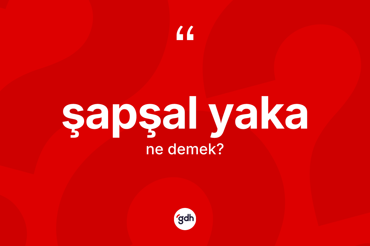 Şapşal yaka kelimesinin anlamı nedir? Şapşal yakanın TDK'ya göre anlamı nedir?