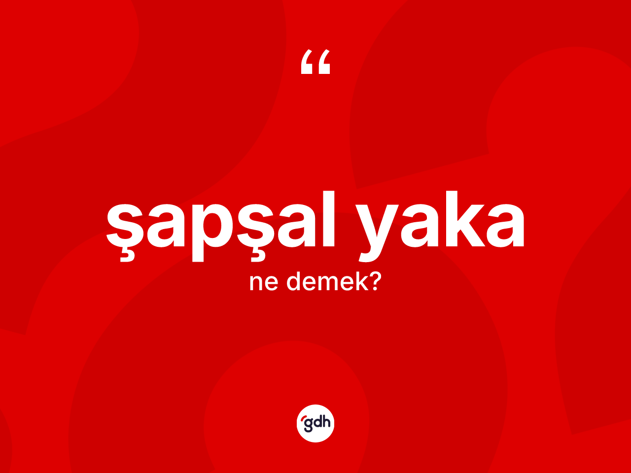 Şapşal yaka kelimesinin anlamı nedir? Şapşal yakanın TDK'ya göre anlamı nedir?