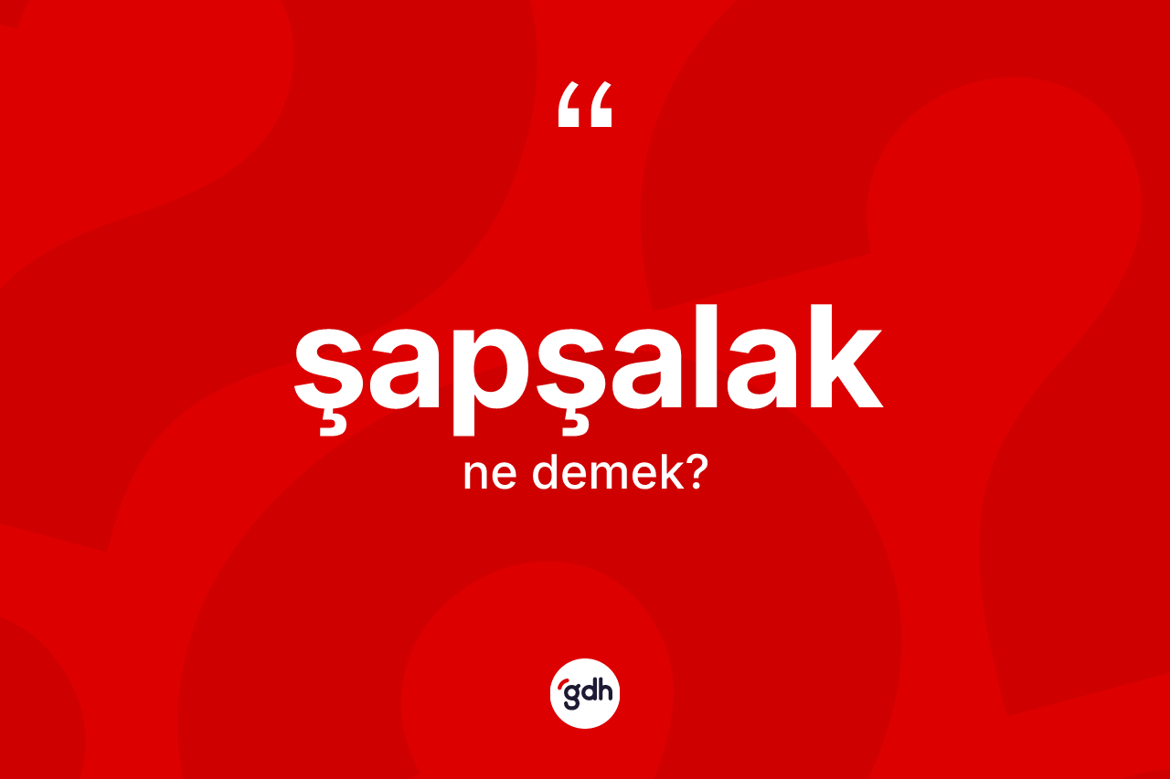 Şapşalak kelimesi ne anlama gelir? Şapşalağın sözlükteki anlamı nedir?