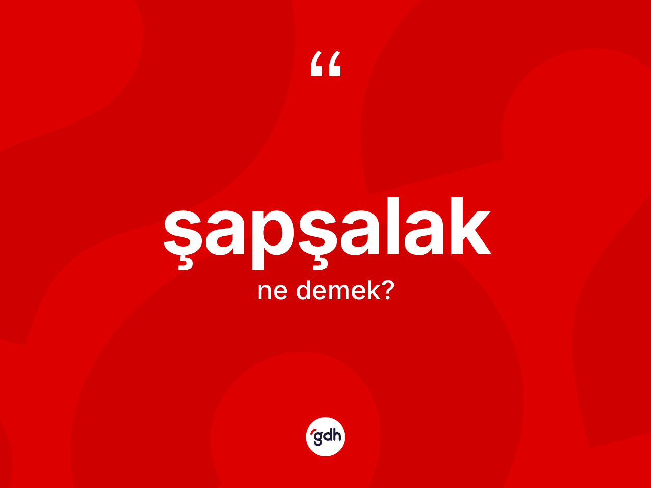 Şapşalak kelimesi ne anlama gelir? Şapşalağın sözlükteki anlamı nedir?