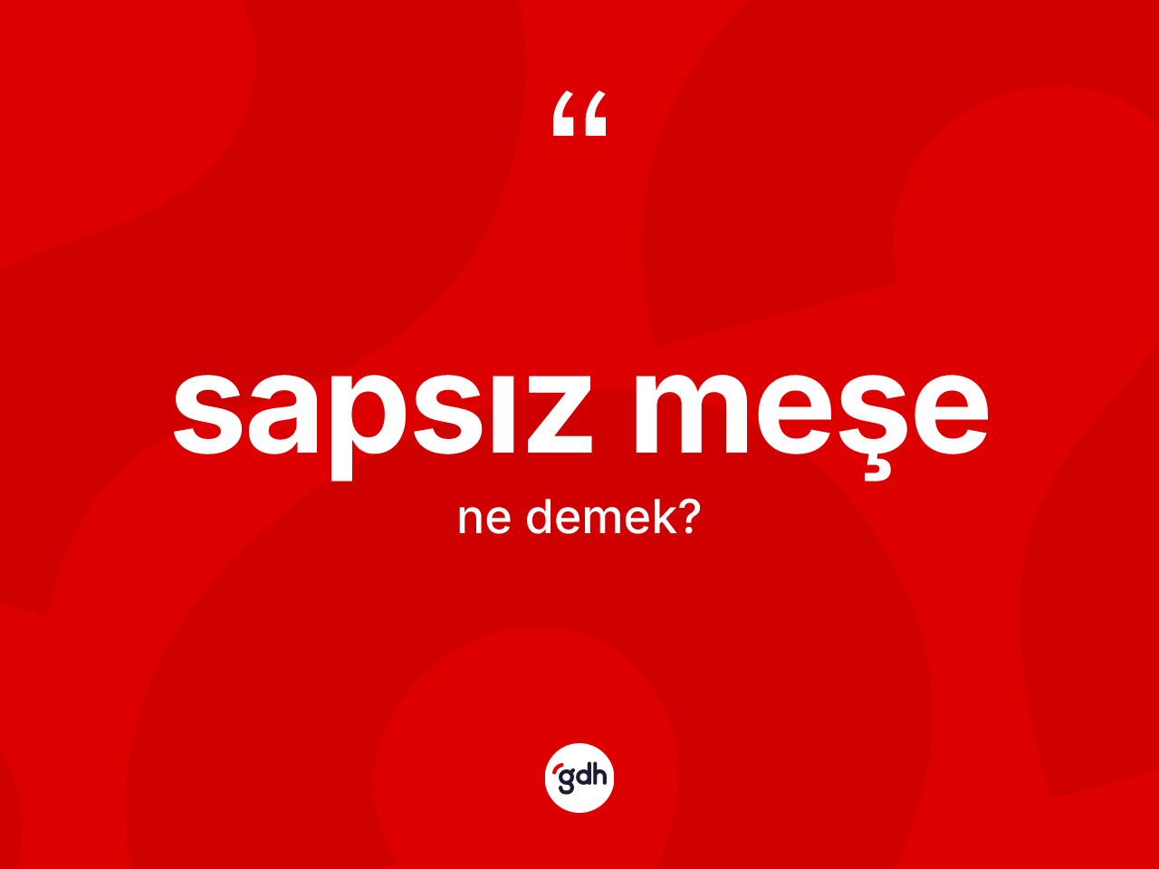 Sapsız meşe kelimesinin sözlükteki tanımı nedir? Sapsız meşe kelimesinin TDK anlamı nedir?
