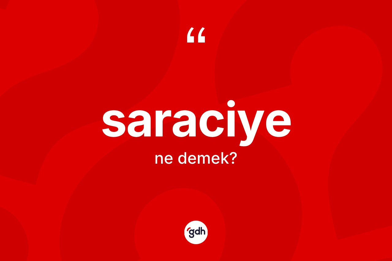 Saraciye kelimesi ne demek? Saraciye kelimesinin kaç farklı anlamı var?