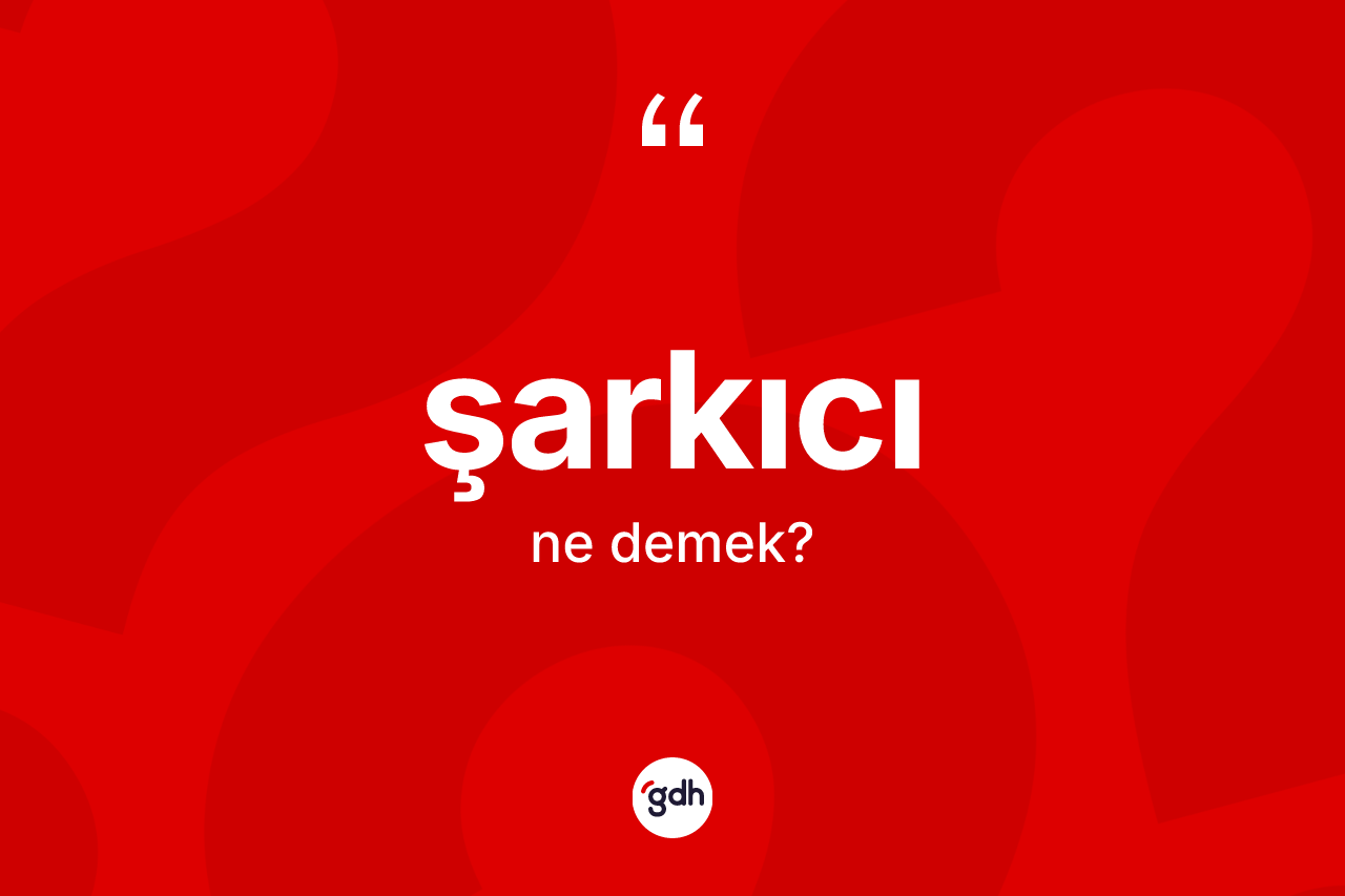Şarkıcı kelimesi ne demek? Şarkıcının TDK'ya göre anlamı nedir?
