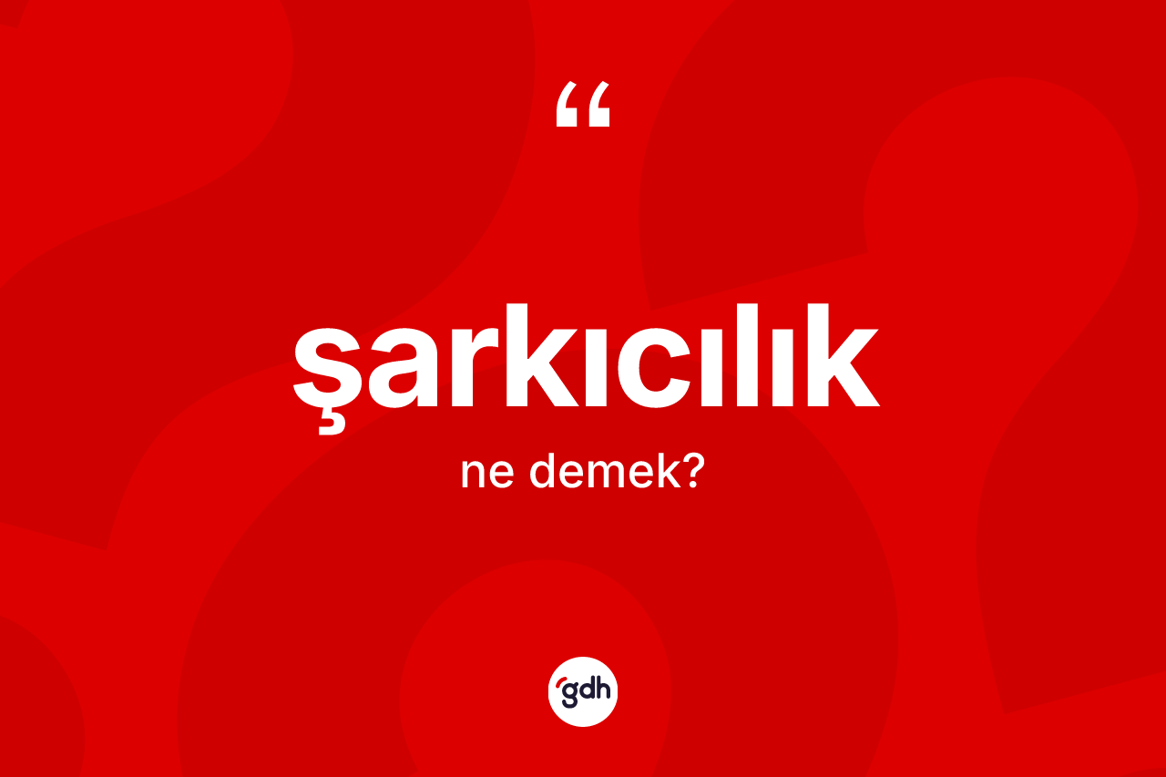 Şarkıcılık kelimesi ne anlama gelir? Şarkıcılık kelimesinin TDK'ya göre açıklaması nedir?