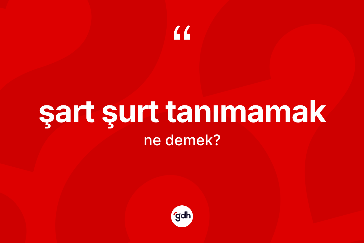 Şart şurt tanımamak ifadesinin kısaca anlamı nedir? Şart şurt tanımamak ifadesinin TDK tanımı nedir?