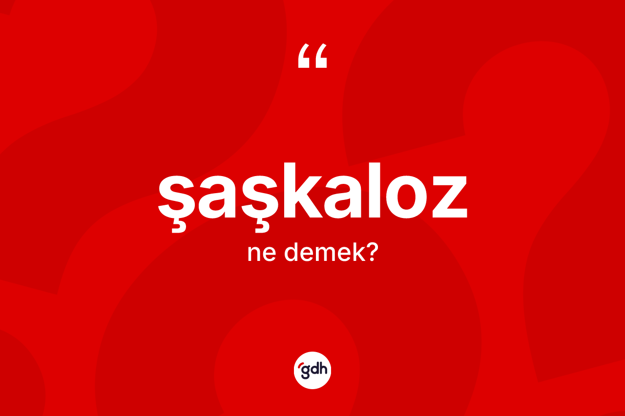 Şaşkaloz kelimesinin tanımı nedir? Şaşkalozun kısaca tanımı nedir?