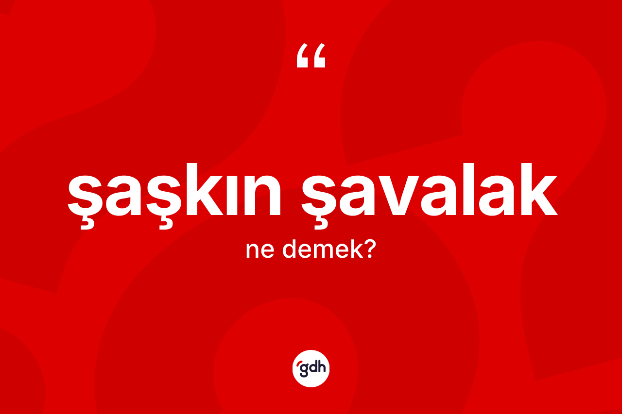 Şaşkın şavalak ne anlama gelir? Şaşkın şavalağın TDK'ya göre anlamı nedir?