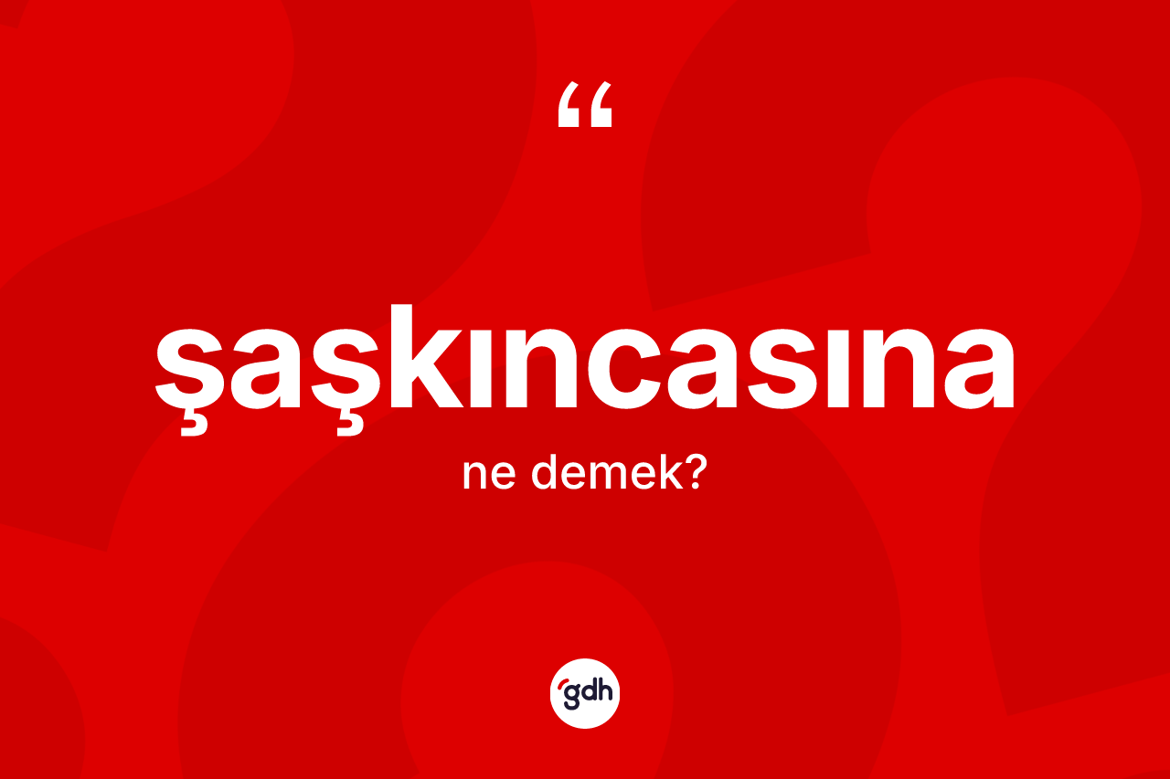 Şaşkıncasına kelimesinin anlamı nedir? Şaşkıncasınanın kısaca tanımı nedir?
