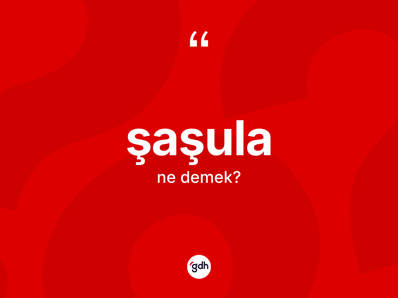 Şaşula kelimesinin tanımı nedir? Şaşulanın sözlükteki anlamı nedir?